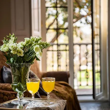 Alfonso, Restored Palace House With Gardens And Monuments Views Villa *